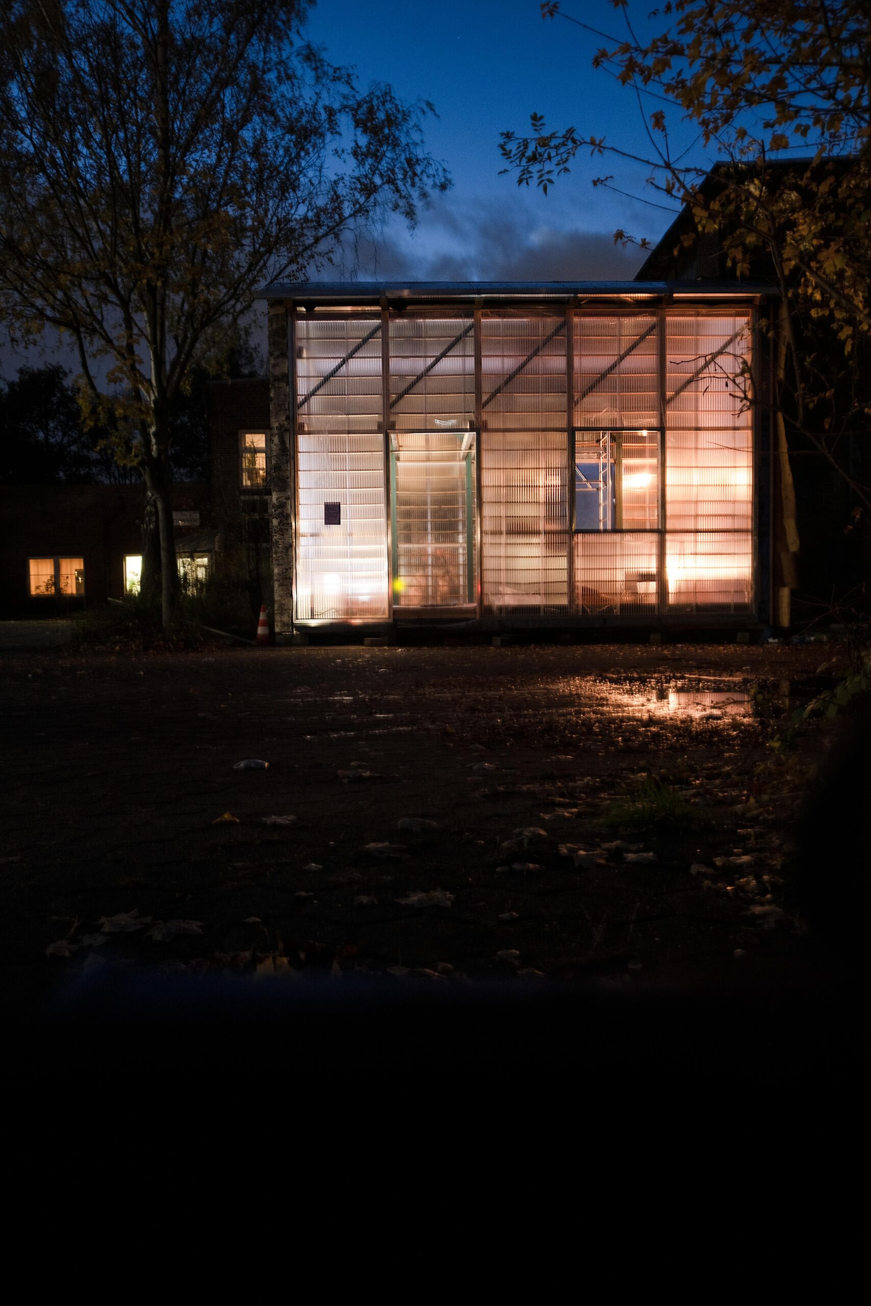 MYC_251030_DSCF5259-Bearbeitet-3